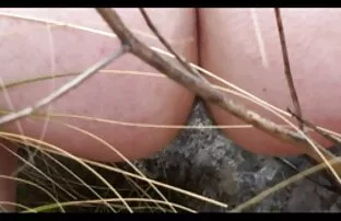 XXX Դուք ստանում եք սեռական փորձ, crap սեխ ծիծիկներ կարմիր նրան